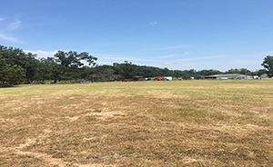 Hadlee Manor (Under Construction) - Bixby, Oklahoma